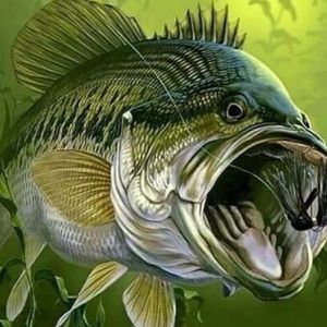 Meet your Posher, Gabriel